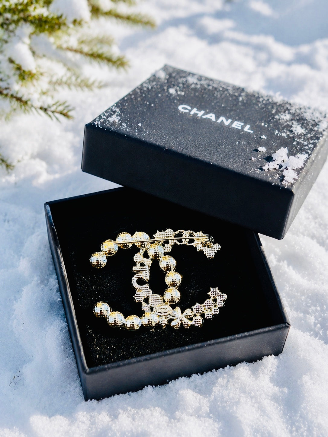 CHANEL Iconic Logo Silver with Pearl & Crystal Accent Brooch D